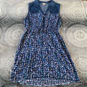 Carlalite Dress denim dress